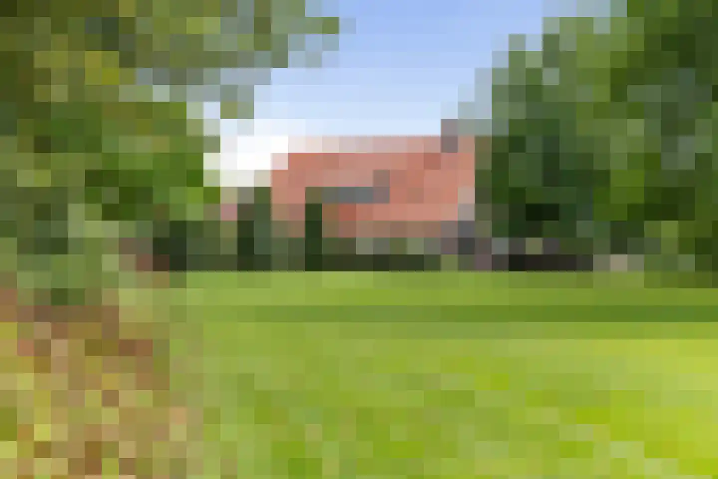 Dennendijk 6 Geesteren thumbnail 99