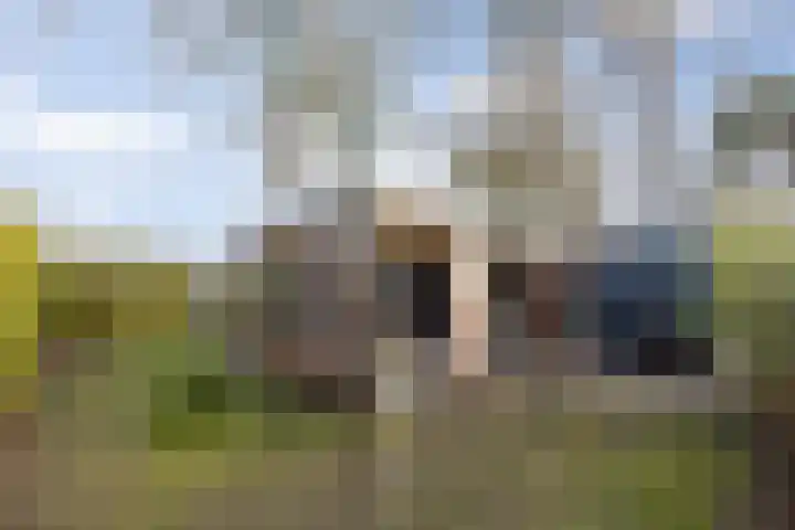 Dennendreef 5 089 Boxtel thumbnail 41