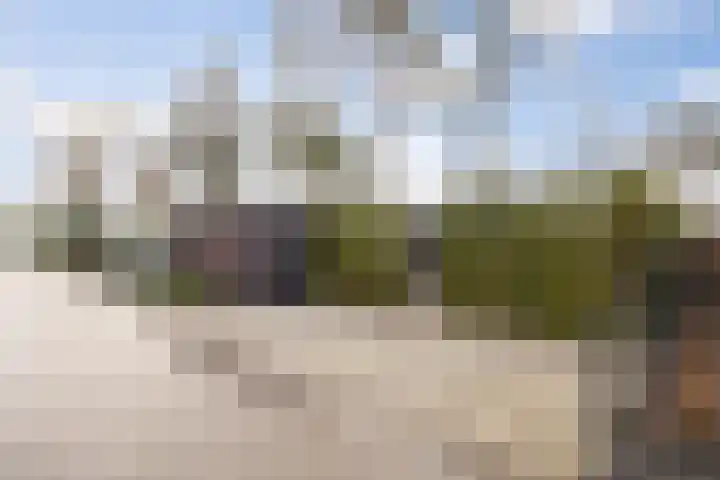 Dennendreef 5 089 Boxtel thumbnail 48