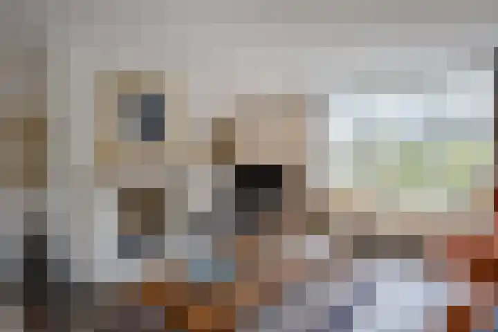Dennenhei 26 Best thumbnail 14