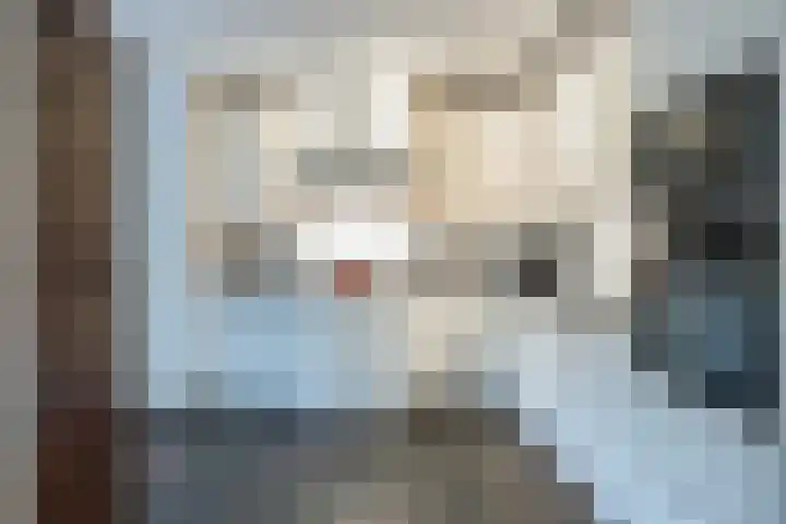 Dennenhei 26 Best thumbnail 17