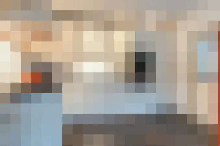 Dennenhei 26 Best thumbnail 20
