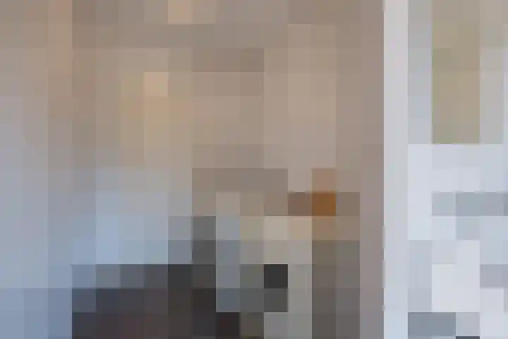 Dennenhei 26 Best thumbnail 21