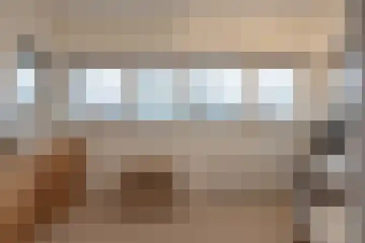 Dennenhei 26 Best thumbnail 22
