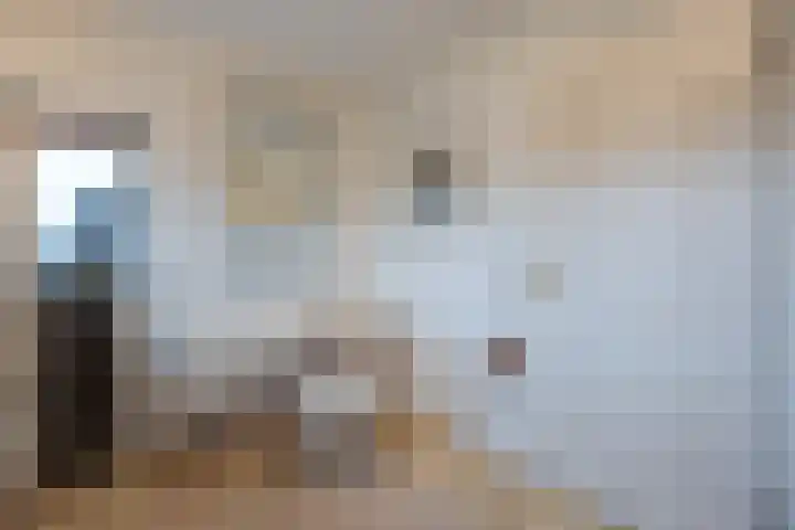 Dennenhei 26 Best thumbnail 23