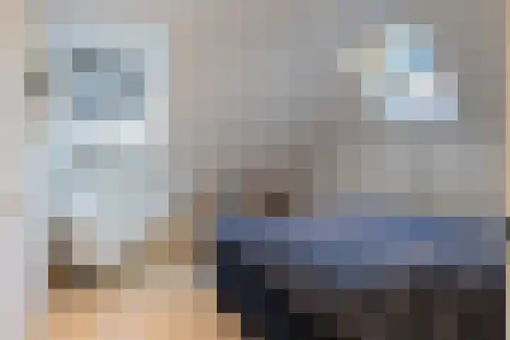 Dennenhei 26 Best thumbnail 26