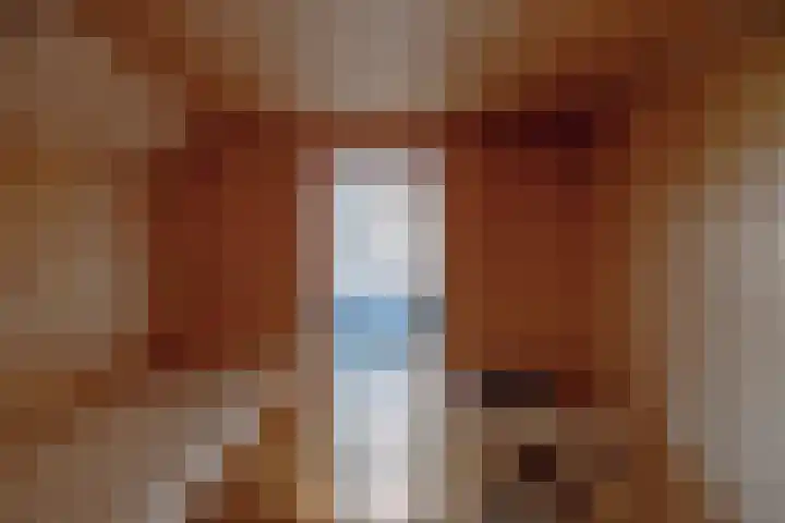 Dennenhei 26 Best thumbnail 36