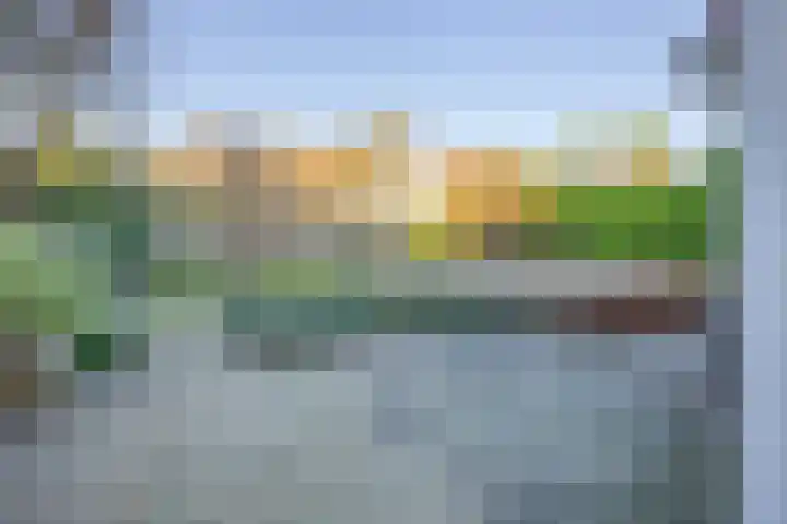 Dennenhei 26 Best thumbnail 42