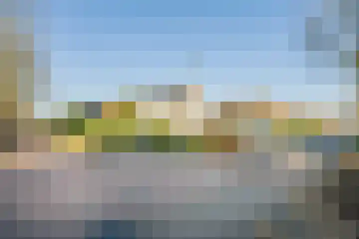 Dennenhei 26 Best thumbnail 44