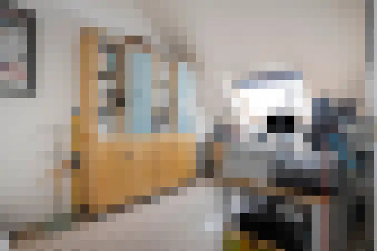 Dennenhei 40 Best thumbnail 23