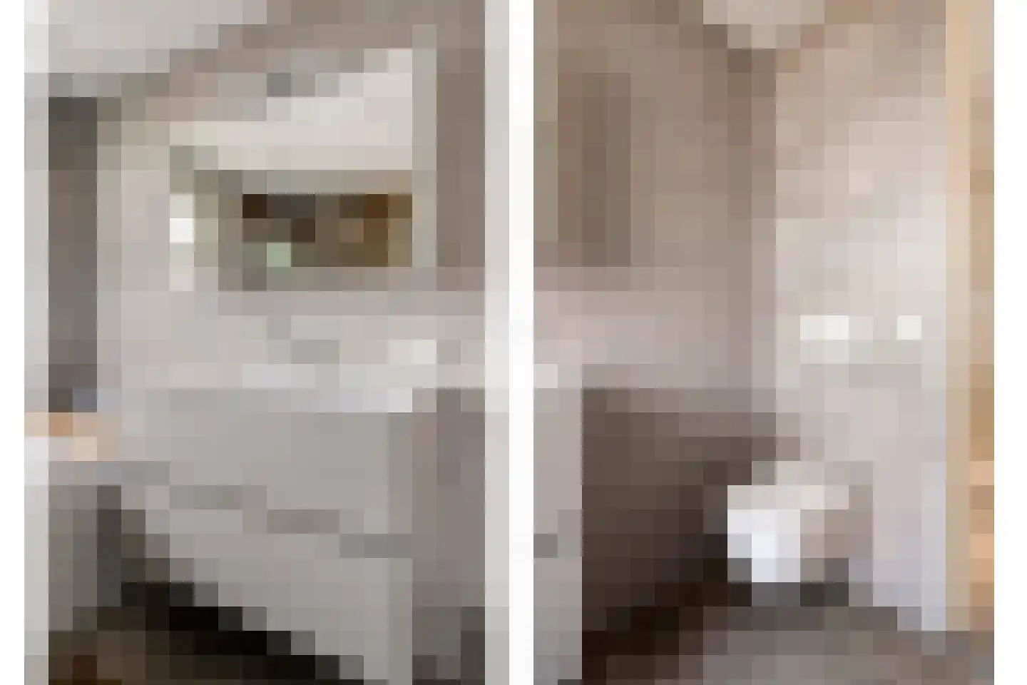 Dennenhei 40 Best thumbnail 28