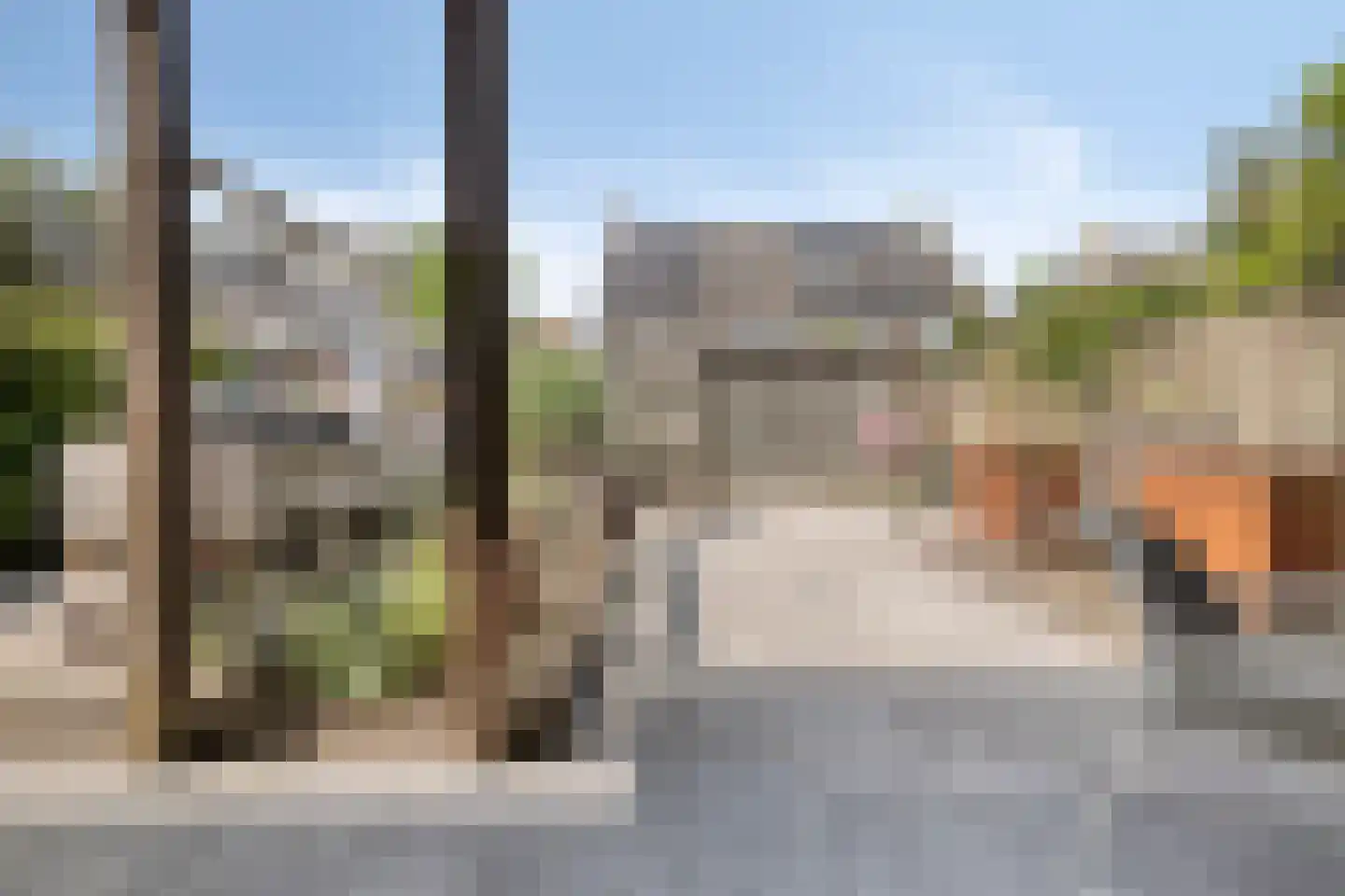 Dennenhei 40 Best thumbnail 32