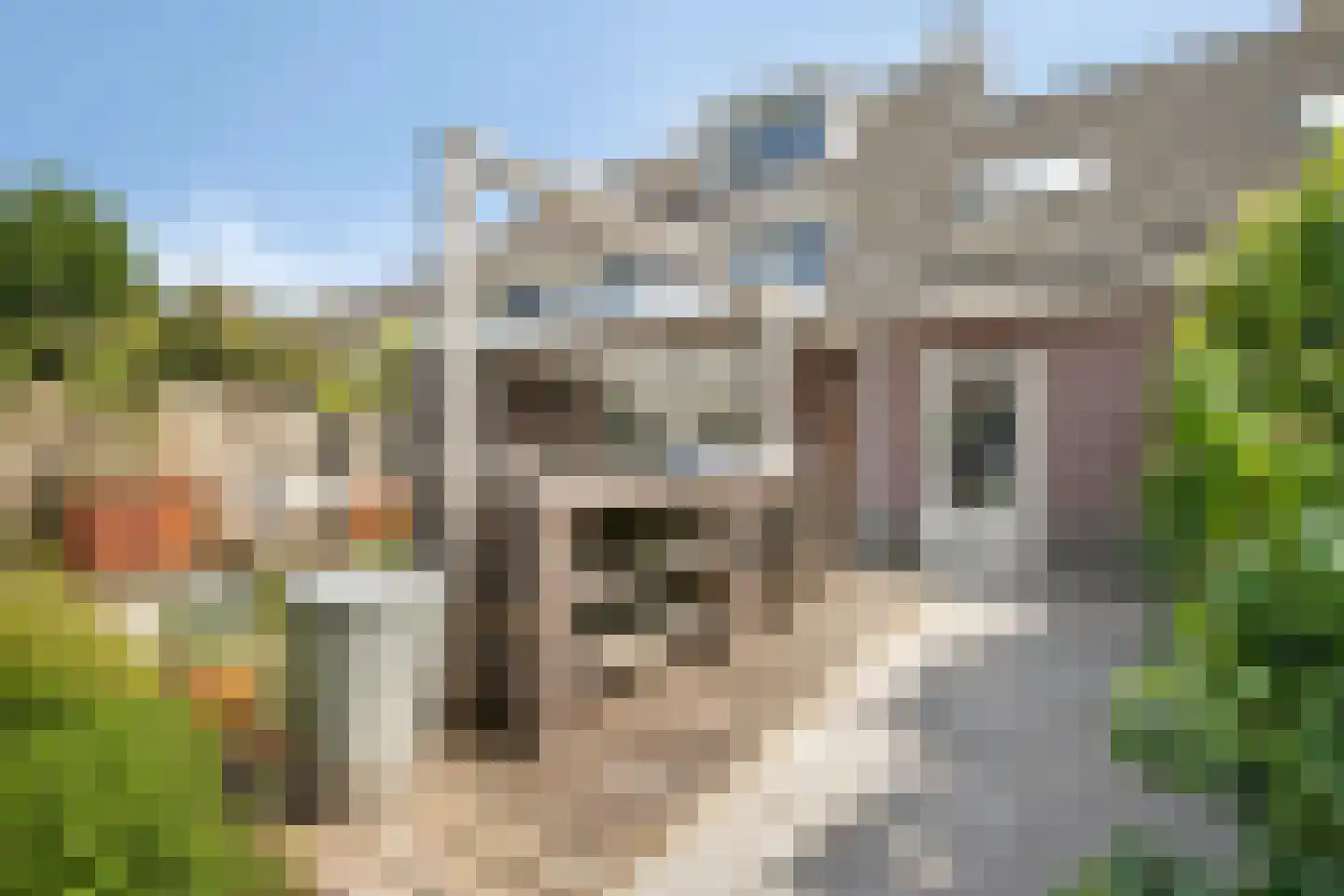 Dennenhei 40 Best thumbnail 34