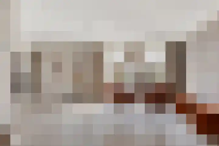 Dennenhei 41 Best thumbnail 12