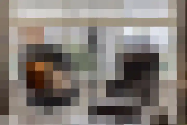 Dennenhei 41 Best thumbnail 13