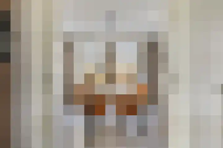 Dennenhei 41 Best thumbnail 22
