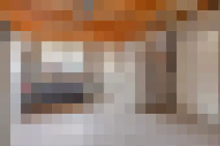 Dennenhei 41 Best thumbnail 26