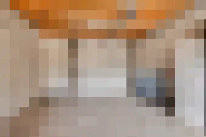 Dennenhei 41 Best thumbnail 27