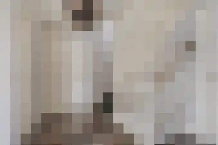 Dennenhei 41 Best thumbnail 28