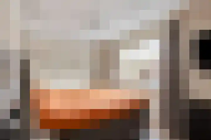 Dennenhei 41 Best thumbnail 29