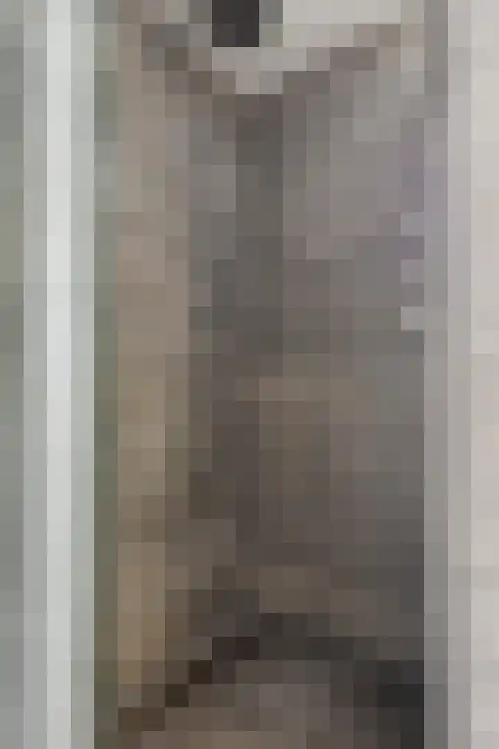 Dennenhei 41 Best thumbnail 32