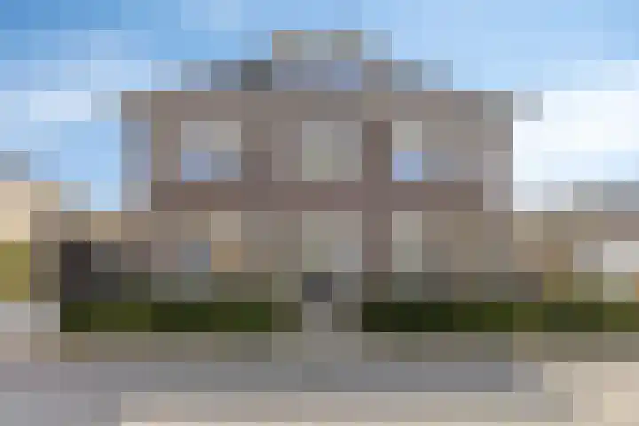 Dennenhei 41 Best thumbnail 4