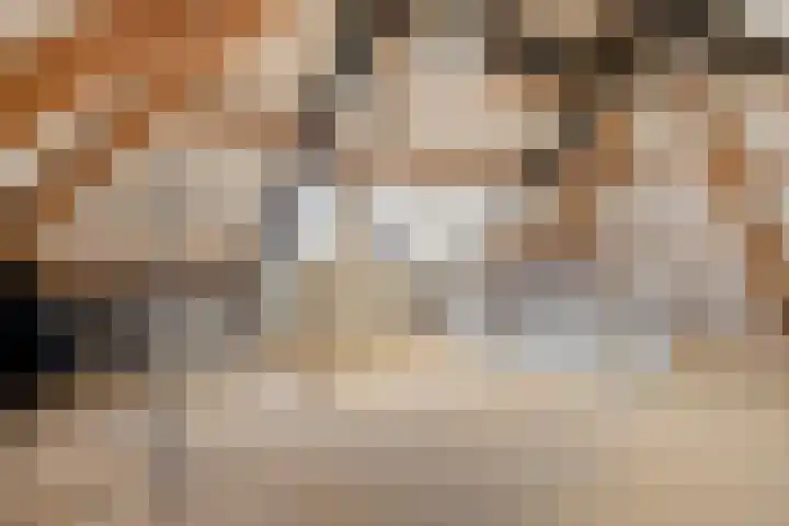 Dennenhei 41 Best thumbnail 41