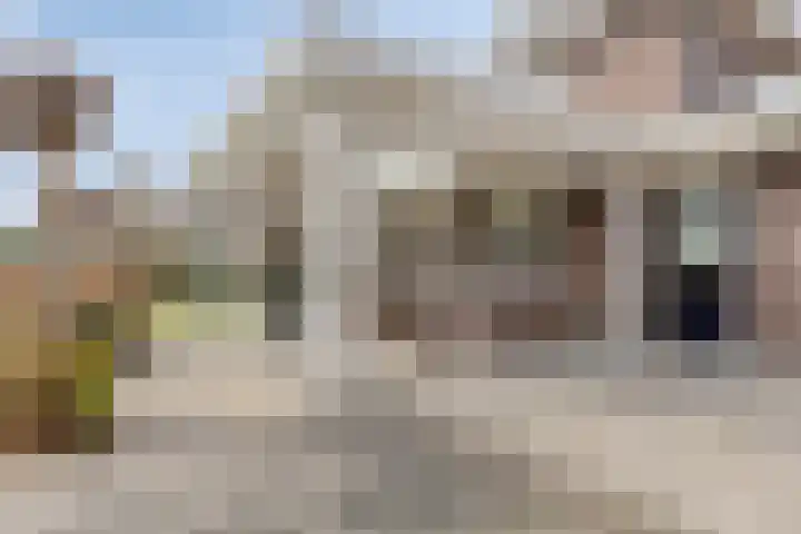 Dennenhei 41 Best thumbnail 45