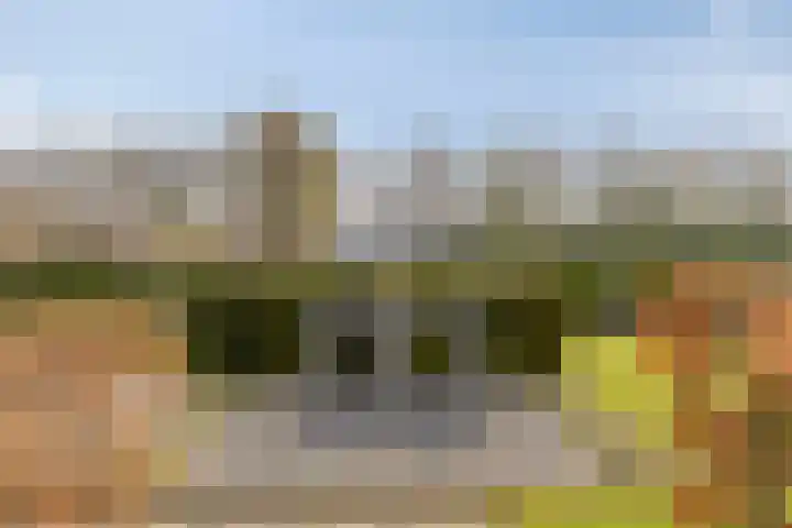 Dennenhei 41 Best thumbnail 47