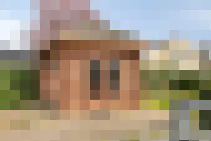 Dennenhei 41 Best thumbnail 49