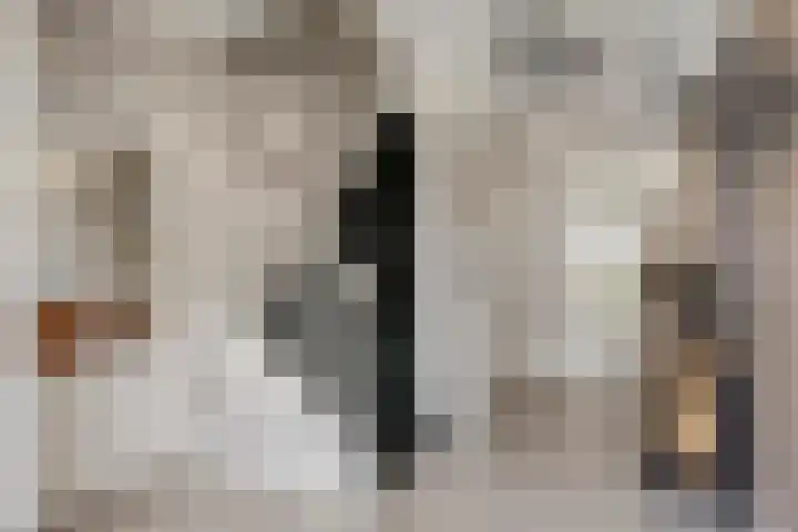 Dennenhei 41 Best thumbnail 5