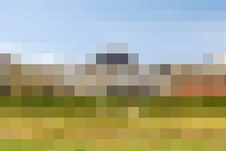 Dennenhei 41 Best thumbnail 51