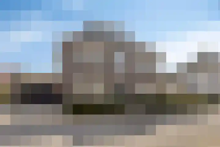 Dennenhei 41 Best thumbnail 55