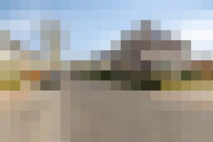 Dennenhei 41 Best thumbnail 56