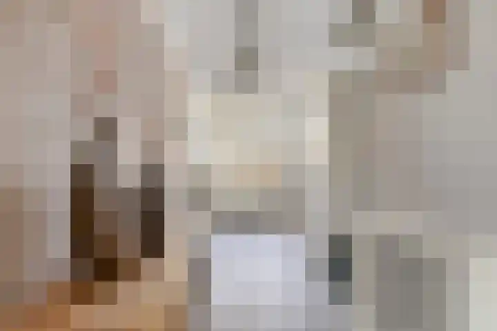 Dennenhei 41 Best thumbnail 6