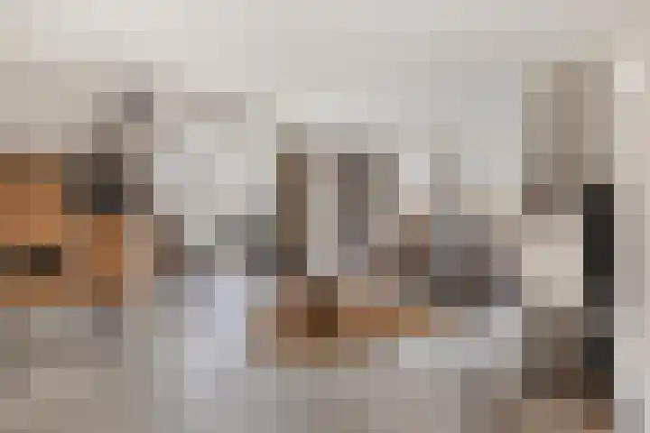 Dennenhei 41 Best thumbnail 9