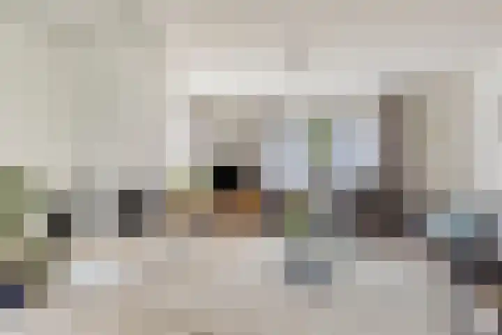 Dennenhof 55 Made thumbnail 10