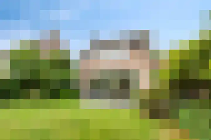Dennenhof 55 Made thumbnail 33