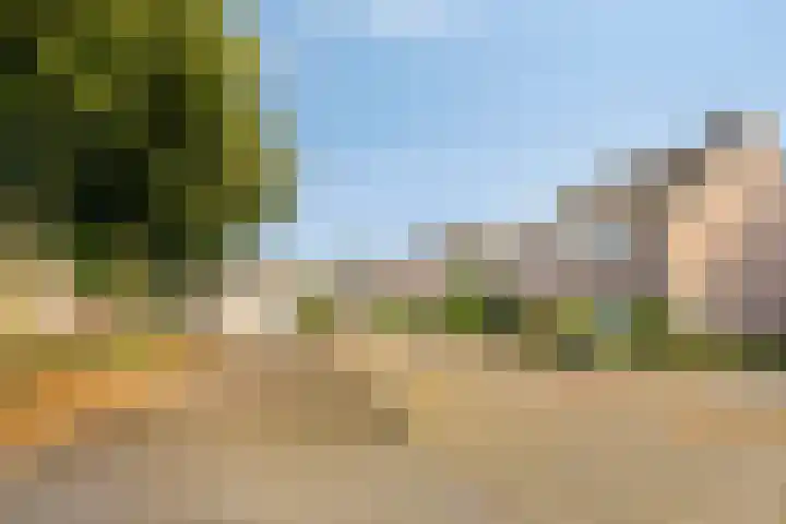 Dennenhof 55 Made thumbnail 6