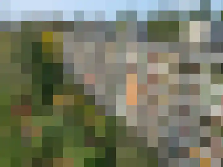 Dennenlaan 105 Ede