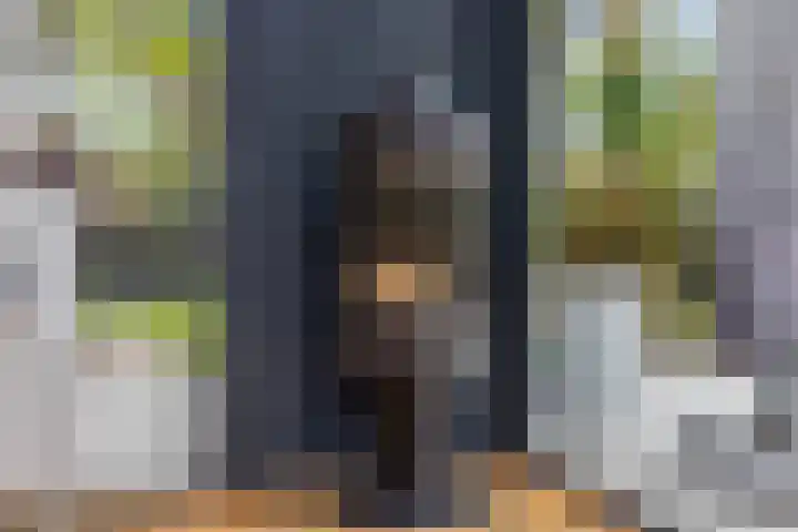 Dennenlaan 14 Ede thumbnail 15