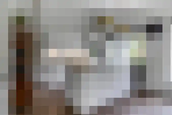 Dennenlaan 14 Ede thumbnail 18