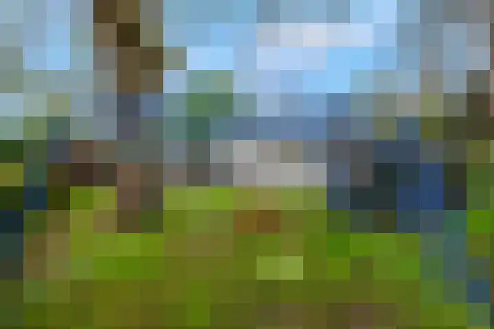 Dennenlaan 14 Ede thumbnail 63