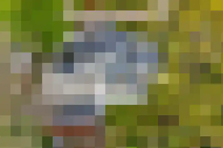 Dennenlaan 14 Ede thumbnail 69