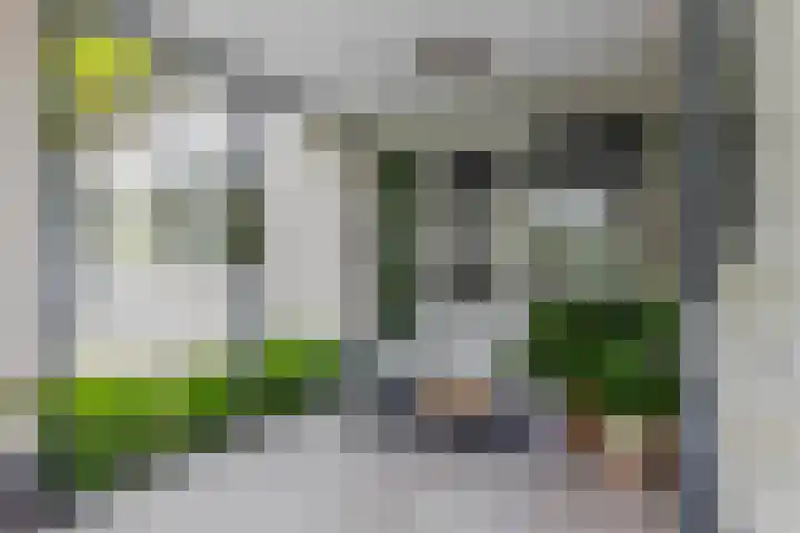 Dennenlaan 14 Ede thumbnail 71