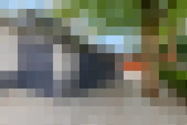 Dennenlaan 14 Ede thumbnail 72
