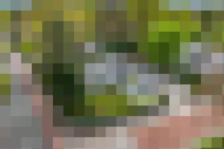 Dennenlaan 14 Ede thumbnail 76