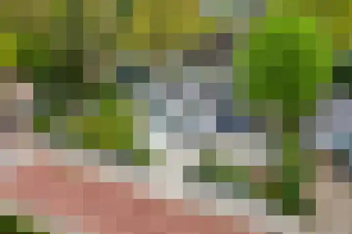 Dennenlaan 14 Ede thumbnail 77