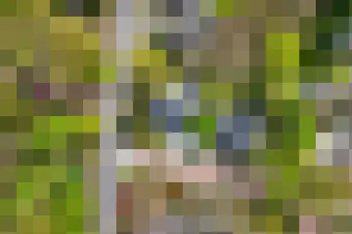 Dennenlaan 14 Ede thumbnail 78