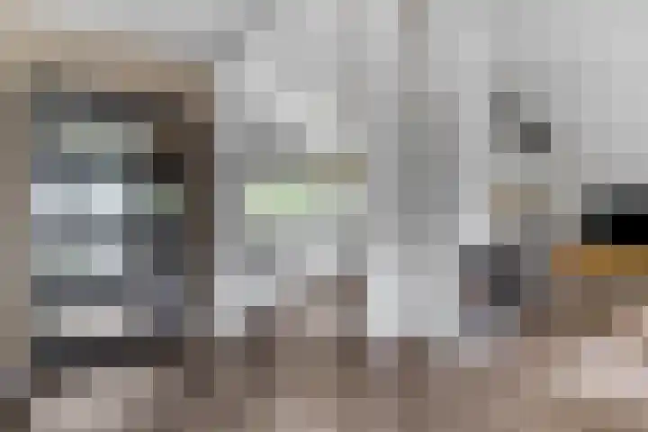Dennenlaan 14 Ede thumbnail 8
